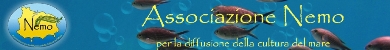 Nemo Ischia