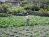 dsc02598