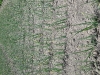 dsc02628
