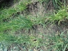 dsc02629