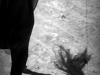 a-167-copia