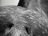 a-897-copia-copia