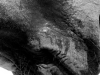 a-909-copia-copia