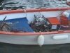 pulizia_fondali_ischia_nemoIMG_3479