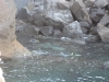 pulizia_fondali_ischia_nemoIMG_3483