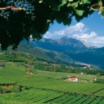 trentodoc