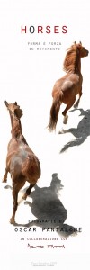 Horses di Oscar Pantalone
