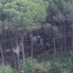 bosco_maddalena_ischia_forestale_abuso (1) bosco_maddalena_ischia_forestale_abuso (1)
