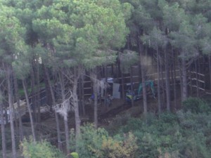 bosco_maddalena_ischia_forestale_abuso (1)