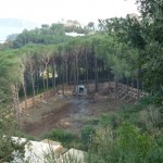 bosco_maddalena_ischia_forestale_abuso (15) bosco_maddalena_ischia_forestale_abuso (15)