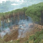 bosco_maddalena_ischia_forestale_abuso (16) bosco_maddalena_ischia_forestale_abuso (16)