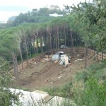 bosco_maddalena_ischia_forestale_abuso (17) bosco_maddalena_ischia_forestale_abuso (17)