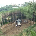 bosco_maddalena_ischia_forestale_abuso (18) bosco_maddalena_ischia_forestale_abuso (18)
