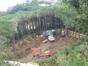 bosco_maddalena_ischia_forestale_abuso (19)