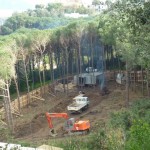 bosco_maddalena_ischia_forestale_abuso (21) bosco_maddalena_ischia_forestale_abuso (21)
