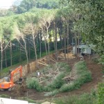 bosco_maddalena_ischia_forestale_abuso (22) bosco_maddalena_ischia_forestale_abuso (22)