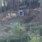 bosco_maddalena_ischia_forestale_abuso (4) bosco_maddalena_ischia_forestale_abuso (4)