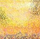 mimose