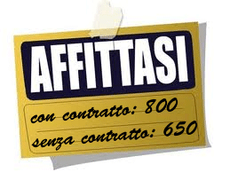 Affittasi Ischia