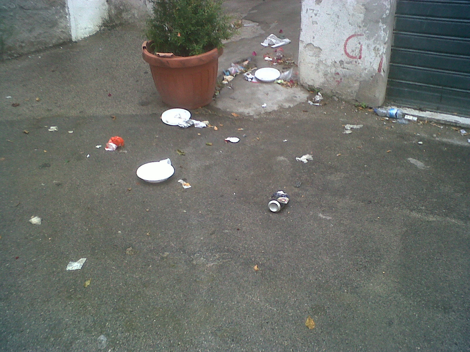 Gestione Hotel Ischia Gestione Hotel Ischia