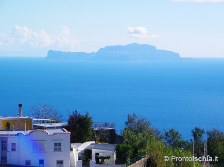 Offerte Hotel Capri Mezza Pensione Offerte Hotel Capri Mezza Pensione