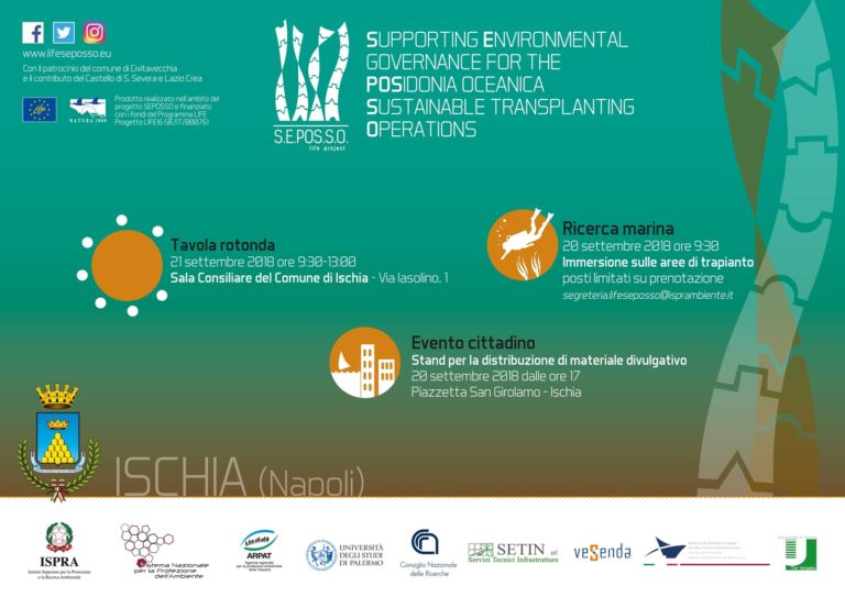  Life Seposso L Ispra A Ischia Per Il Reimpianto Di Posidonia Oceanica